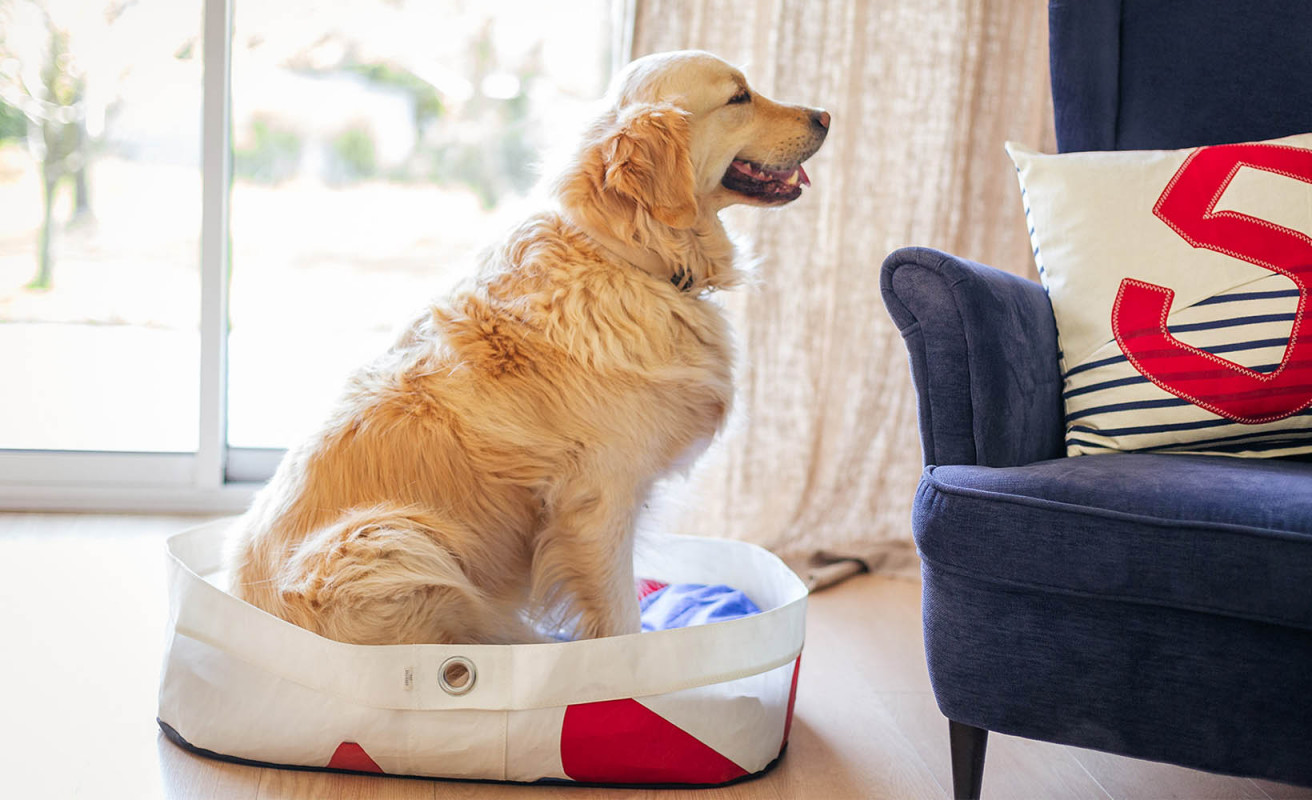 Pet Basket
