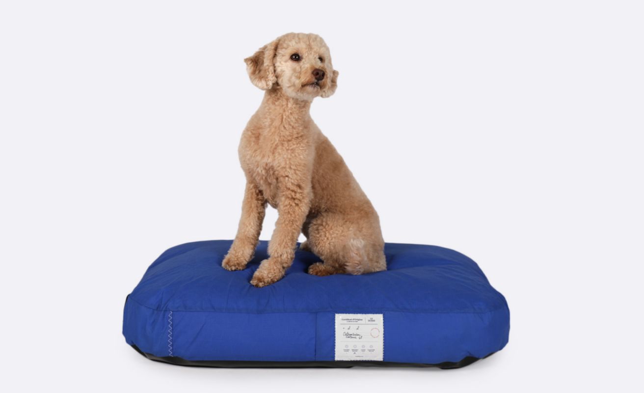 Panier pour chien · Spi bleu